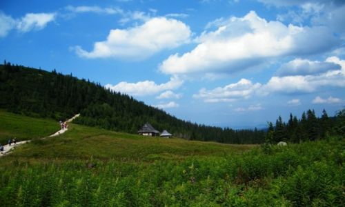 Zdjecie POLSKA / Tatry / Zakopane / konkurs