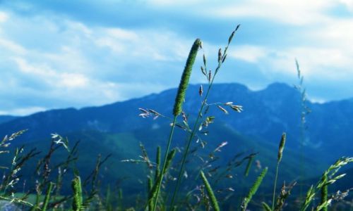 Zdjecie POLSKA / Tatry / Zakopane / konkurs
