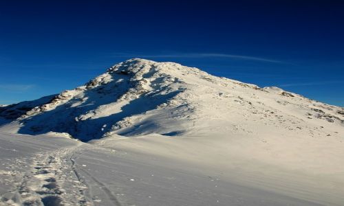 Zdjecie POLSKA / Podhale / Tatry / winica w bieli