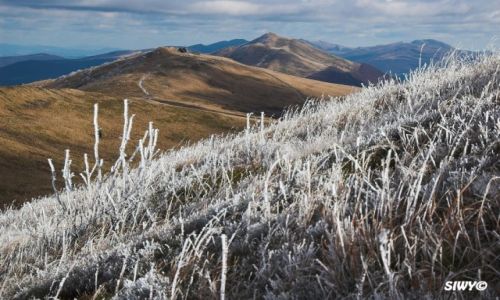 Zdjecie POLSKA / Podkarpacie / Bieszczady / Jesienna szad