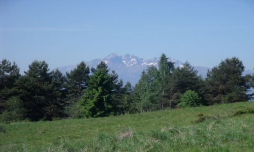 Zdjecie POLSKA / Pieniny / okolice Szczawnicy / widok na Tatry