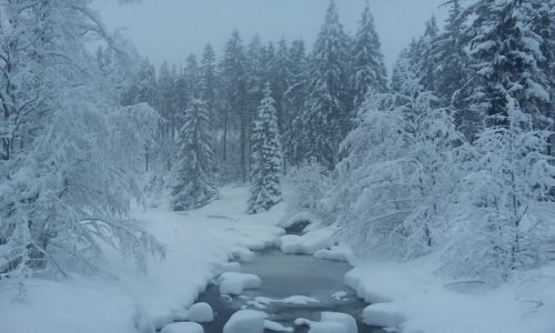 Zdjecie POLSKA / -Tatry / Mae Ciche / zima w grach