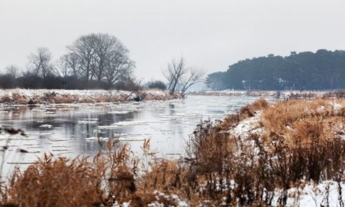 Zdjcie POLSKA / Wielkopolska / Nowe Miasto nad Wart / Warta