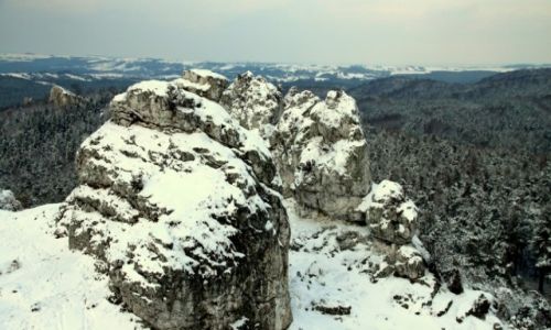 Zdjęcie POLSKA / JURA KRAKOWSKO-CZĘSTOCHOWSKA / PODLESICE / GÓRA ZBORÓW