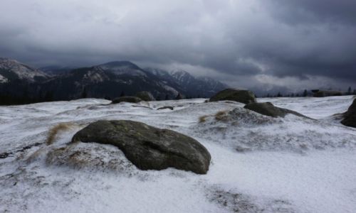 Zdjecie POLSKA / Tatry / Rusinowa Polana / Rusinowa Polana