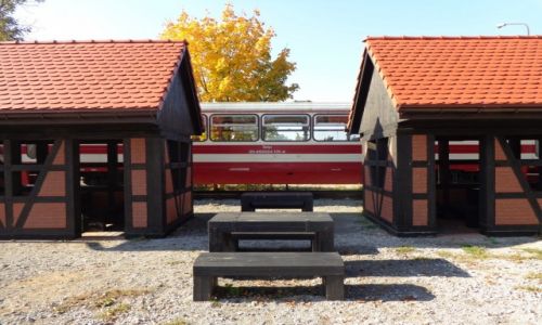 Zdjęcie POLSKA / Dolny Śląsk. / Ruda Milicka / W Dolinie Baryczy