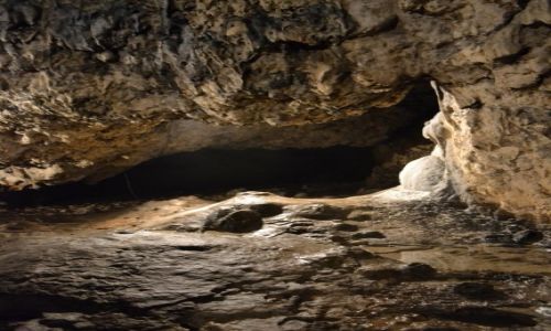 Zdjęcie POLSKA / Małopolska / Jerzmanowice / Jaskinia Nietoperzowa