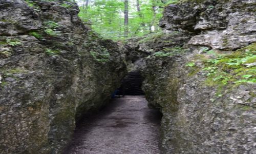 Zdjecie POLSKA / Maopolska / Czajowice / Wejcie do Groty okietka