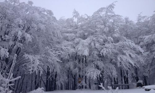 Zdjecie POLSKA / Beskid Niski / Magura Wtkowska / Sercu bliski Beskid Niski