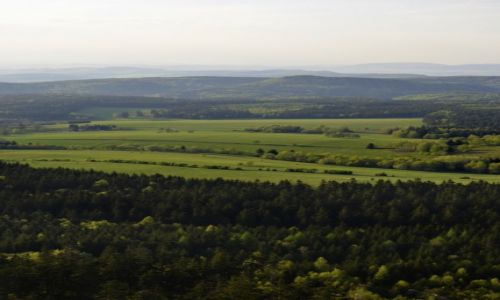 Zdjecie POLSKA / Dolny lsk / Gry Stoowe / Szczeliniec