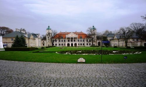 Zdjecie POLSKA / Lubelszczyzna / Kamionka / Paac w Kozwce