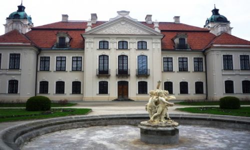 Zdjecie POLSKA / Lubelszczyzna / Kamionka / Paac w Kozwce
