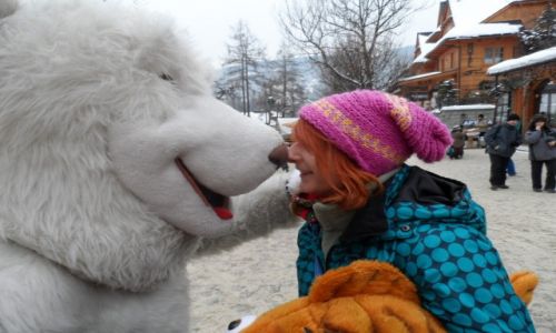 Zdjęcie POLSKA / Małopolska / Za / Podhalański Misiek