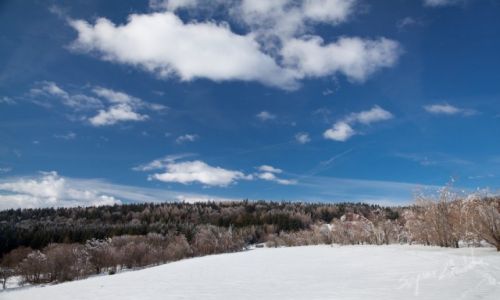 Zdjęcie POLSKA / Góry Sowie / Rzeczka / Góry Sowie