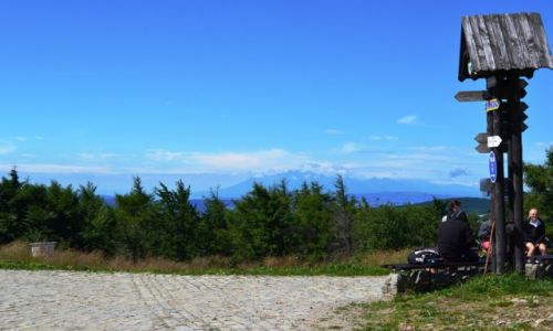 Zdjecie POLSKA / Maopolska / Krynica Zdrj / Tatry z Jaworzyny Krynickiej