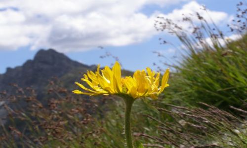 Zdjecie POLSKA / Tatry / na szlaku / W drodze na Świnicę