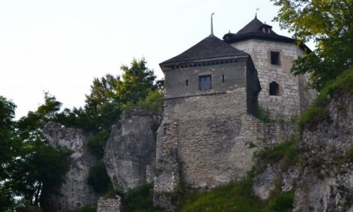 Zdjecie POLSKA / Maopolska / Ojcw / Zamek w Ojcowie
