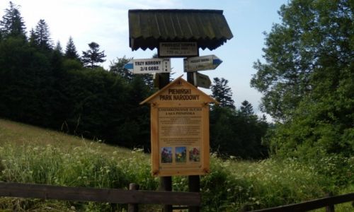 Zdjecie POLSKA / Pieniski Park Narodowy / Szlak turystyczny Trzech Koron. / Wdrwki po Polsce
