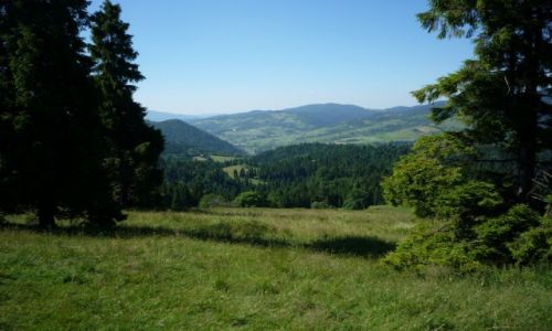 Zdjcie POLSKA / Maopolska / Jaworki / Widoki poniej schroniska Pod Durbawk