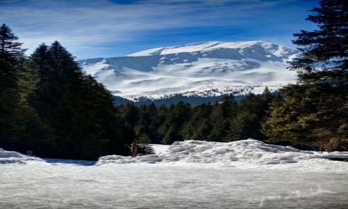 Zdjcie POLSKA / Tatry / Schronisko na Hali Ornak / Bystra