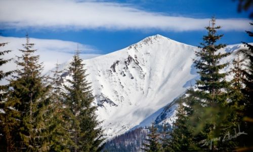 Zdjecie POLSKA / Tatry / Przecz Iwaniacka / Tomanowy Wierch Polski