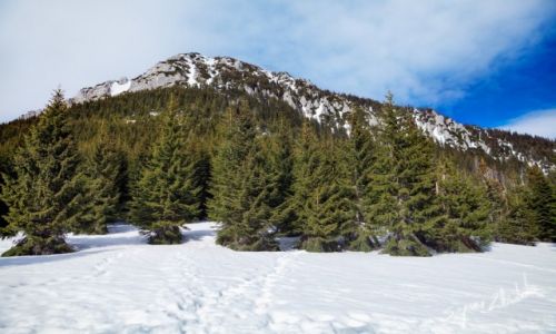 Zdjecie POLSKA / Tatry / Przecz Iwaniacka / Kominiarski Wierch