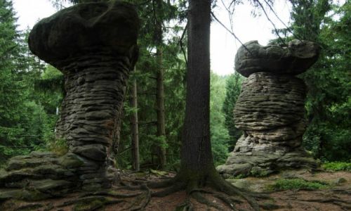 Zdjecie POLSKA / Gry Stoowe / Gmina Szczytna / Skalne formy 
