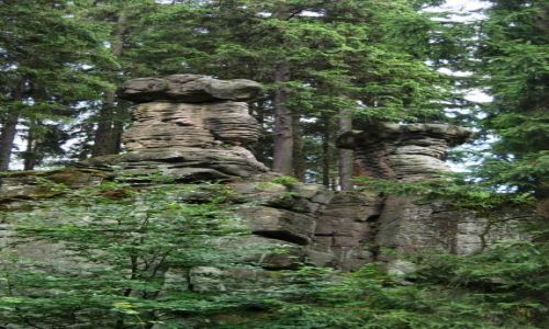 Zdjęcie POLSKA / Dolnośląskie / Gmina Szczytna / Skalne grzybki