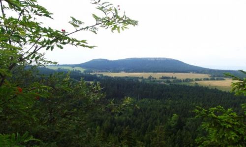 Zdjecie POLSKA / Ziemia Kodzka / Park Narodowy / Paska gra