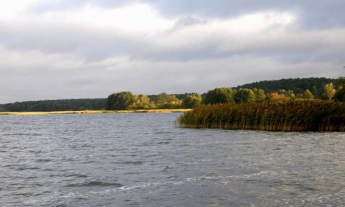 Zdjcie POLSKA / Pomorze / Charzykowy / Padziernik w Charzykowach