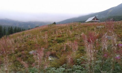 Zdjecie POLSKA / - / Tatry / jesie w Tatrach