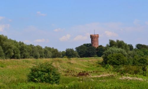 Zdjecie POLSKA / Kujawsko - pomorskie / wiecie nad Wis / Zamek w wieciu nad Wis