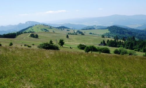 Zdjcie POLSKA / Maopolska / Jaworki / Schodzc z Durbaszki