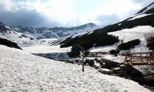 Zdjecie POLSKA / Tatry Wysokie / Dolina Piciu Staww Polskich / Dolina Piciu Staww Polskich