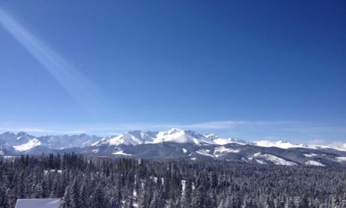 Zdjecie POLSKA / Tatry / Widok z Godwki / Panorama Tatr.