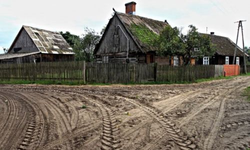 Zdjecie POLSKA / Bory Tucholskie / Krg/ liwic / Klimaty polskich wsi.!