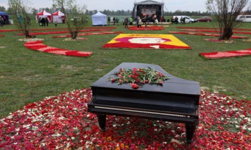POLSKA / Pomorze / Mokry Dwr / Tulipany dla Chopina