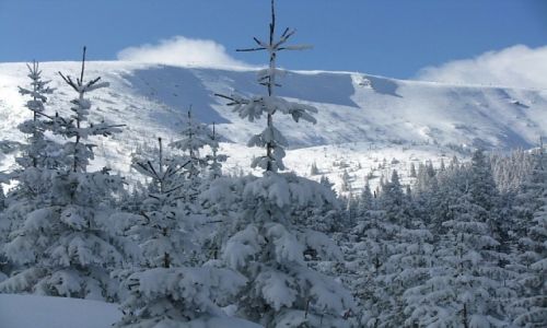 Zdjcie POLSKA / Karkonosze / okolice Karpacza / zima w Karkonoszach
