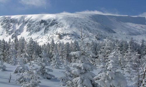 Zdjecie POLSKA / Karkonosze / okolice Karpacza / zima w Karkonoszach