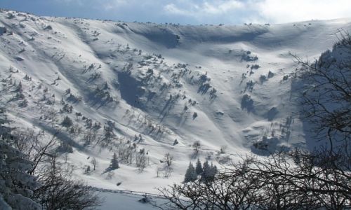 Zdjcie POLSKA / Karkonosze / okolice Karpacza / zima w Karkonoszach
