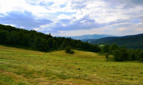 Zdjęcie POLSKA / Małopolska / Wierchomla Wielka / Tatry widziane z Beskidu
