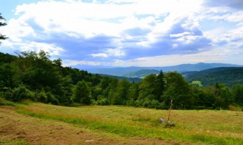 Zdjęcie POLSKA / Małopolska / Wierchomla Wielka / Tatry widziane z Beskidu