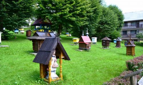 Zdjcie POLSKA / Maopolska / Kamianna / W pasiece Bar