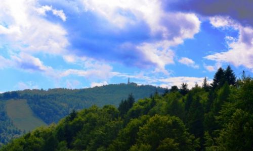 Zdjecie POLSKA / Maopolska / Krynica Zdrj / Widok na Jaworzyn Krynick