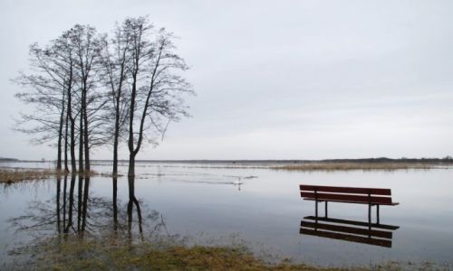 Zdjecie POLSKA / Podlasie / Dolina Biebrzy / Wielka Biebrza