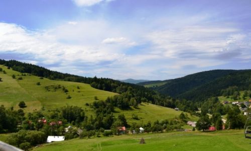 Zdj�cie POLSKA / Ma�opolska / Wierchomla  / W drodze na Wierchoml� Wielk�