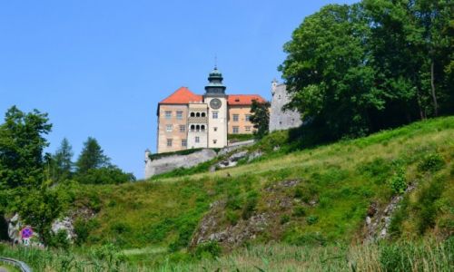 Zdjecie POLSKA / Maopolska / Pieskowa Skaa / zamek w Pieskowej Skale