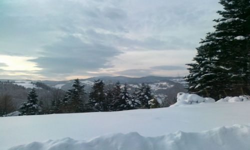 Zdjecie POLSKA / Beskid Sdecki / Piwniczna Zdr. / nasze jest pikne