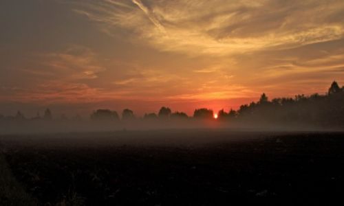 Zdjecie POLSKA / Powiat  niski. / Antoniewo / wit we mgle.