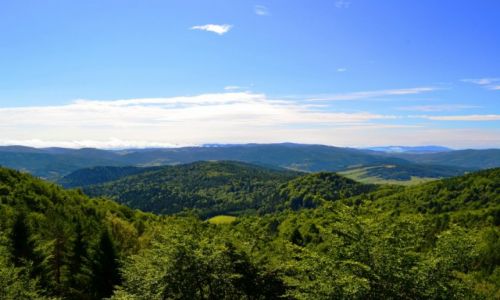 Zdjecie POLSKA / Maopolska / Krynica Zdrj / Zielony Beskid